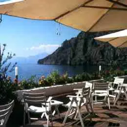 Acquafredda gabbiano maratea