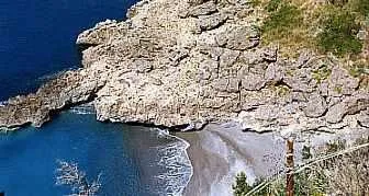 MARIZZA ACQUAFREDDA