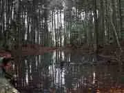 bosco rubbio escursioni