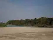 riserva metaponto statale