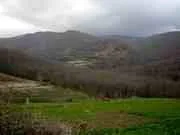 agromonte spacciaboschi